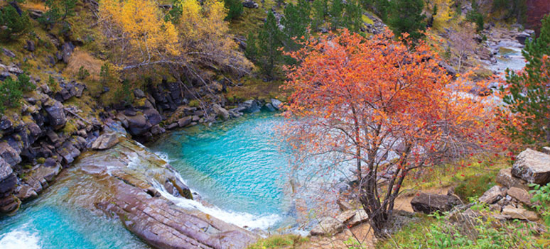 shutterstock 176869484