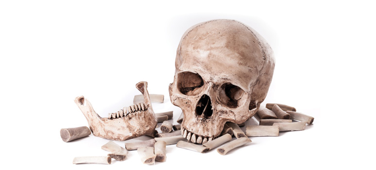 shutterstock 183099326