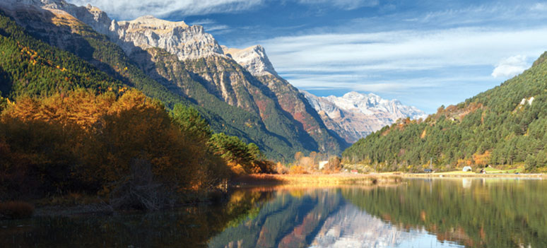 shutterstock 229984105