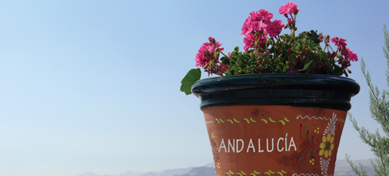 shutterstock 23214061