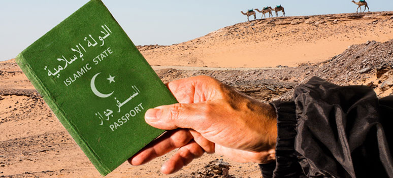 shutterstock 246495160stjålne-pas