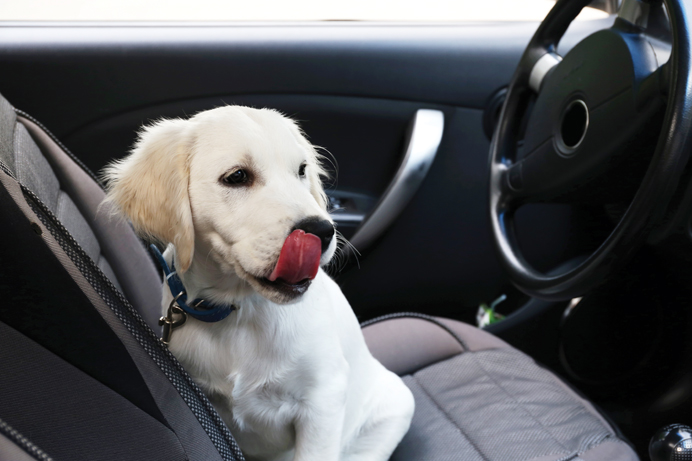 shutterstock 299926589