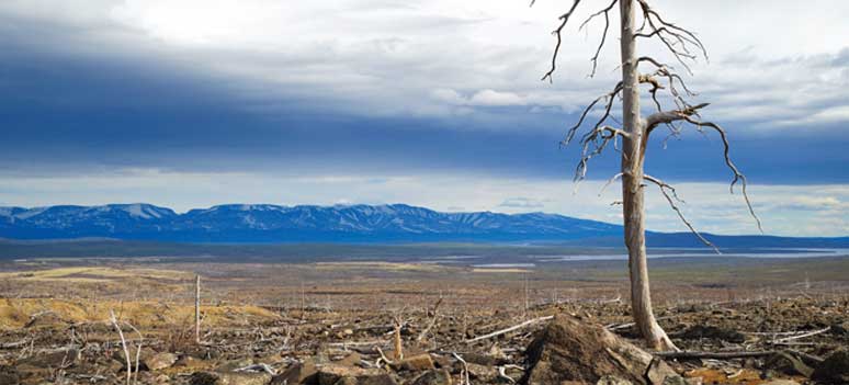 shutterstock 30893488 jpg-tørke