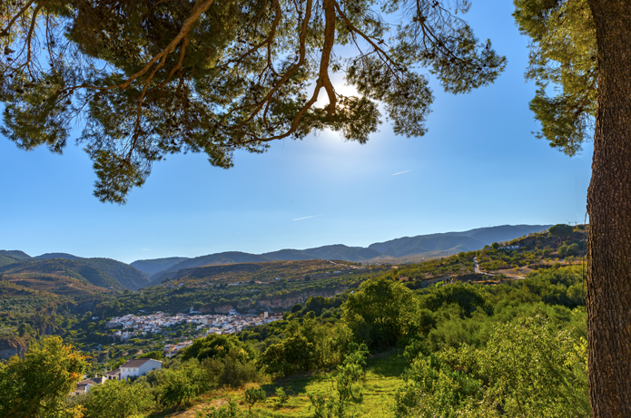 shutterstock 312811037