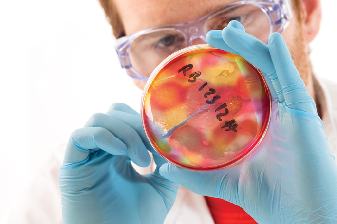 shutterstock 358931834