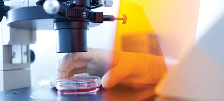 shutterstock 55284442