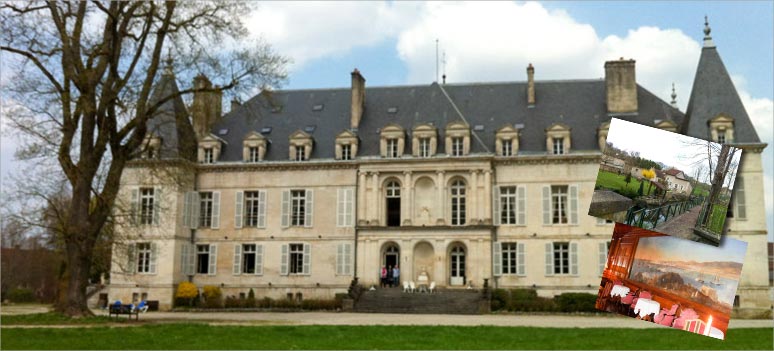 st-vitafakta
