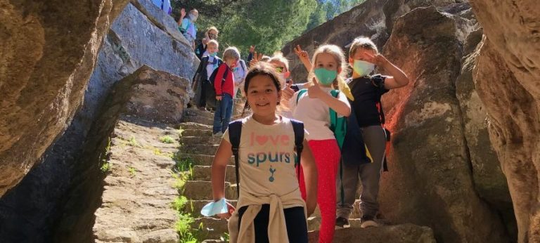 ba6b44d67e5ae48b44f3a7fe31ad8f53