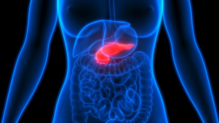 Human,Pancreas,Anatomy.,3d