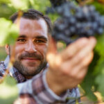 Hvordan lager man vin?