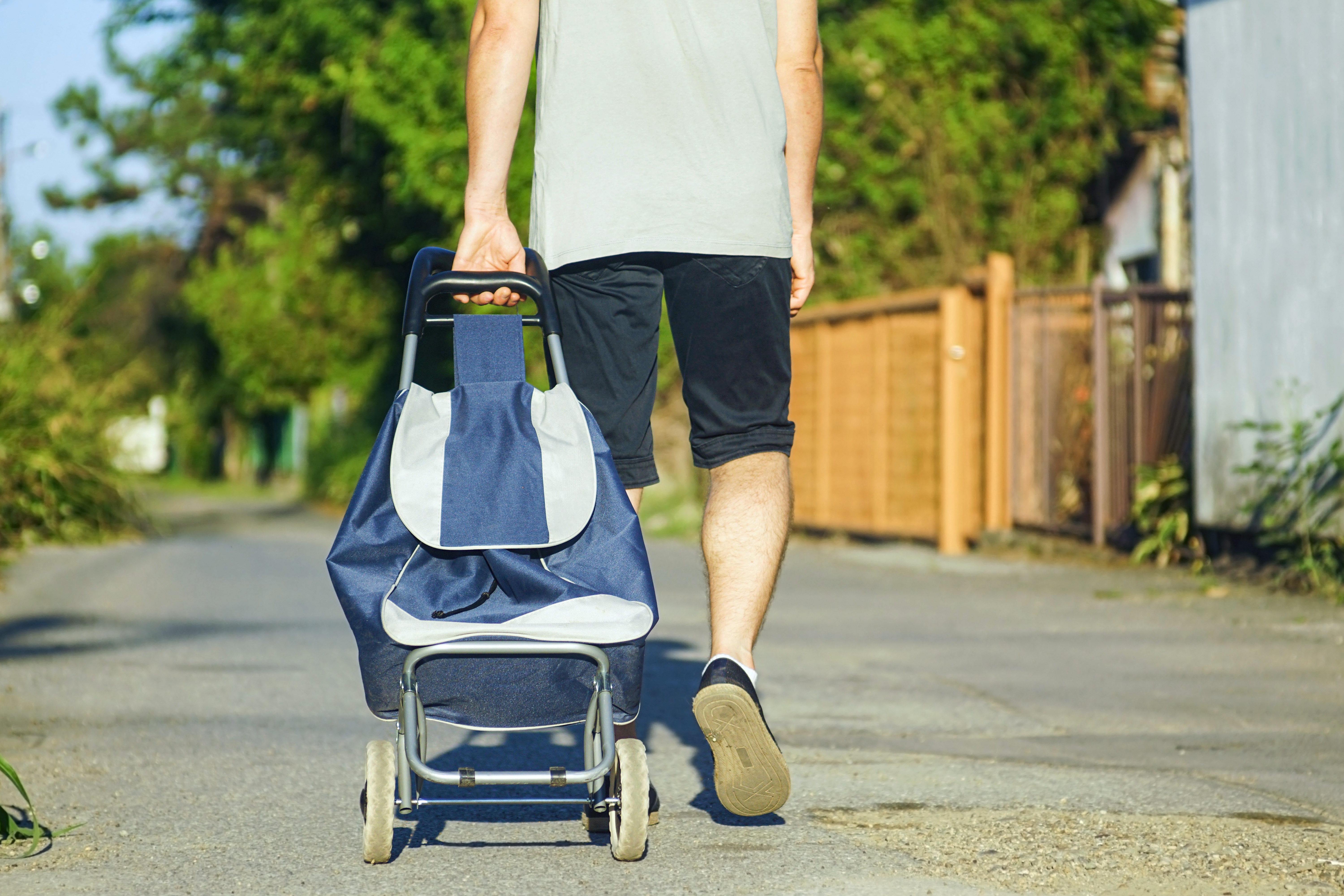 TRILLEVOGNEN - Nærmest et spansk nasjonalsymbol