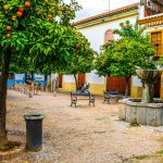 Den andalusiske appelsinen