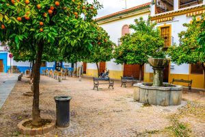 Den andalusiske appelsinen