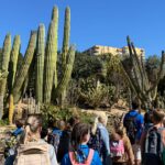Nyheter fra DEN NORSKE SKOLEN