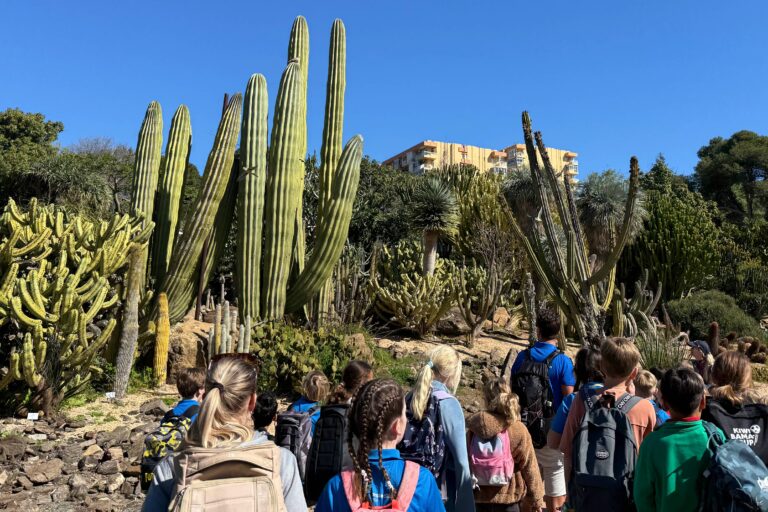 Bilde 3 i Palomaparken