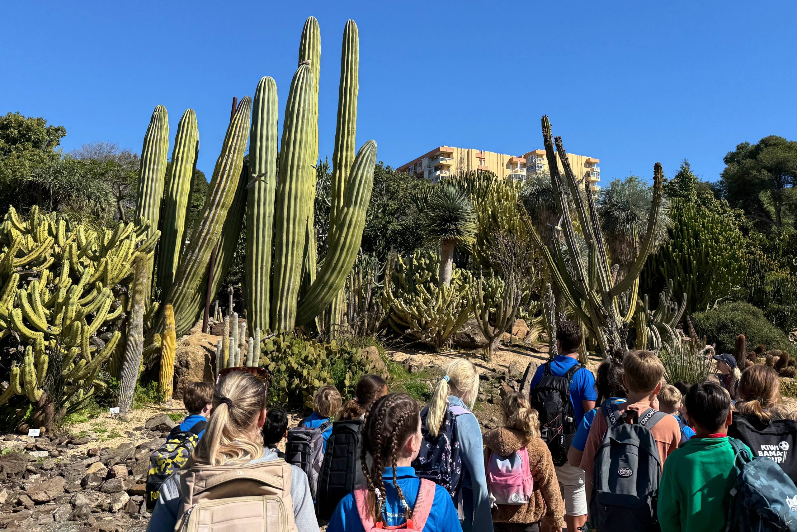 Nyheter fra DEN NORSKE SKOLEN