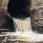 Nytt utvalg skal sikre renere badevann