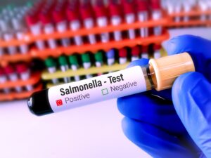40 bekreftede salmonellatilfeller i Benalmádena