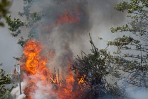 Skogbrannfare tross årstiden